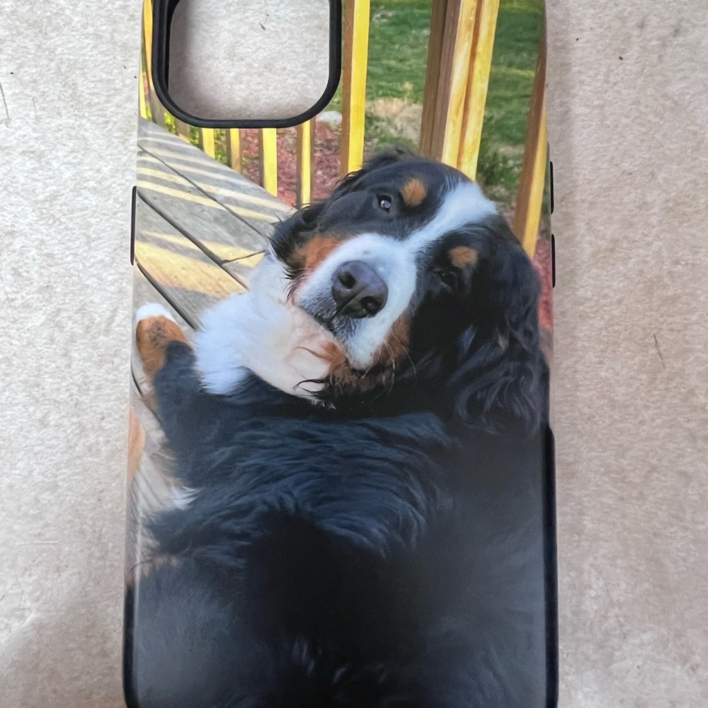 Cellphone Case for iPhone 13 - Matte finish Bernese Mountain Dog Tough Case